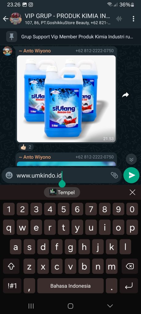 Screenshot_20240302_232614_WhatsAppBusiness